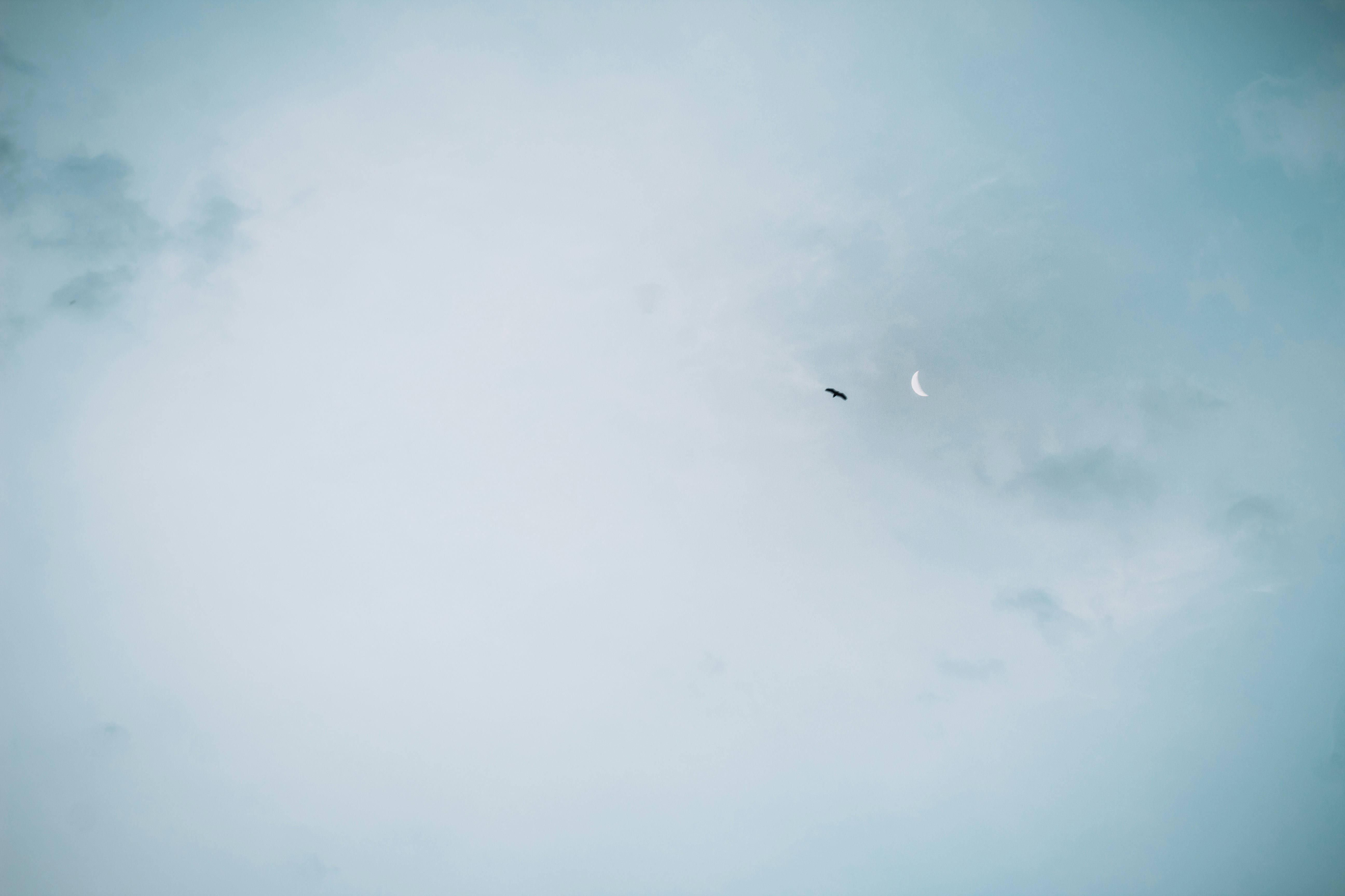 airplane in mid air under cloudy sky during daytime